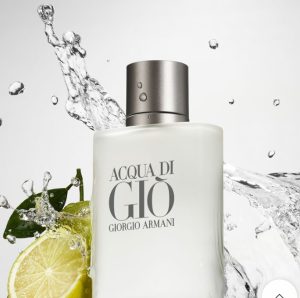 Perfume Giorgio Armani Acqua Di Gio Pour Homme Eau de Toilette 100ml